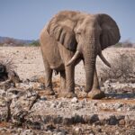 Unlocking Hidden Gems: Summer Travel Destinations You Can’t Afford to Miss