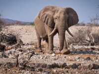 Unlocking Hidden Gems: Summer Travel Destinations You Can’t Afford to Miss