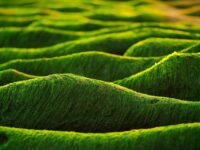 Unlock Your Potential: Top 10 Strategies for Thriving in Today’s Dynamic Job Market