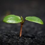 Experts Warn: Major Insurance Changes Coming in 2024—Prepare Now!