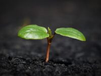 Experts Warn: Major Insurance Changes Coming in 2024—Prepare Now!