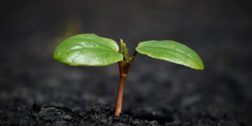 Experts Warn: Major Insurance Changes Coming in 2024—Prepare Now!