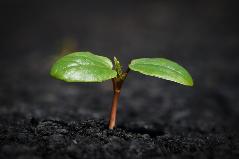 Experts Warn: Major Insurance Changes Coming in 2024—Prepare Now!